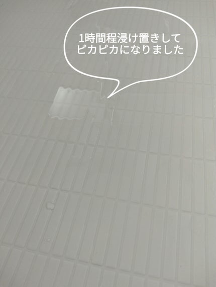 オキシウォッシュ OXI WASH 酸素系漂白剤/紀陽除虫菊/その他ランドリー用品を使ったクチコミ(2枚目)