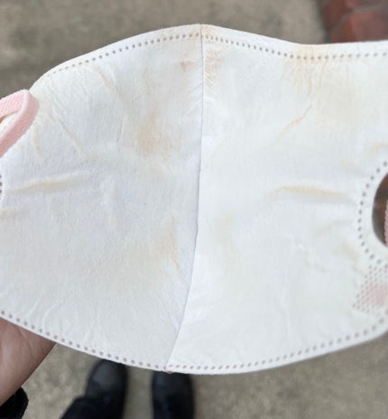 プロテーラービーベルベットカバークッション/espoir/クッションファンデーションを使ったクチコミ(3枚目)