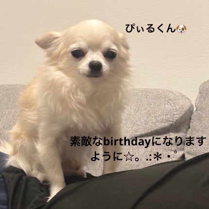 カラフルネイルズ/キャンメイク/マニキュアを使ったクチコミ(7枚目)