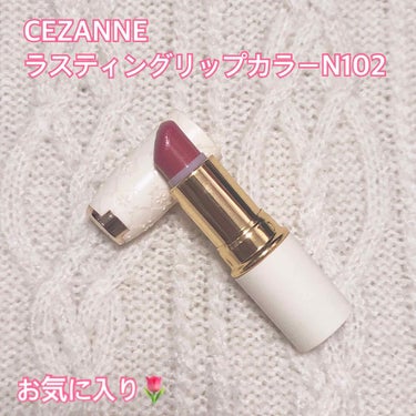 ラスティング リップカラーN/CEZANNE/口紅を使ったクチコミ（1枚目）