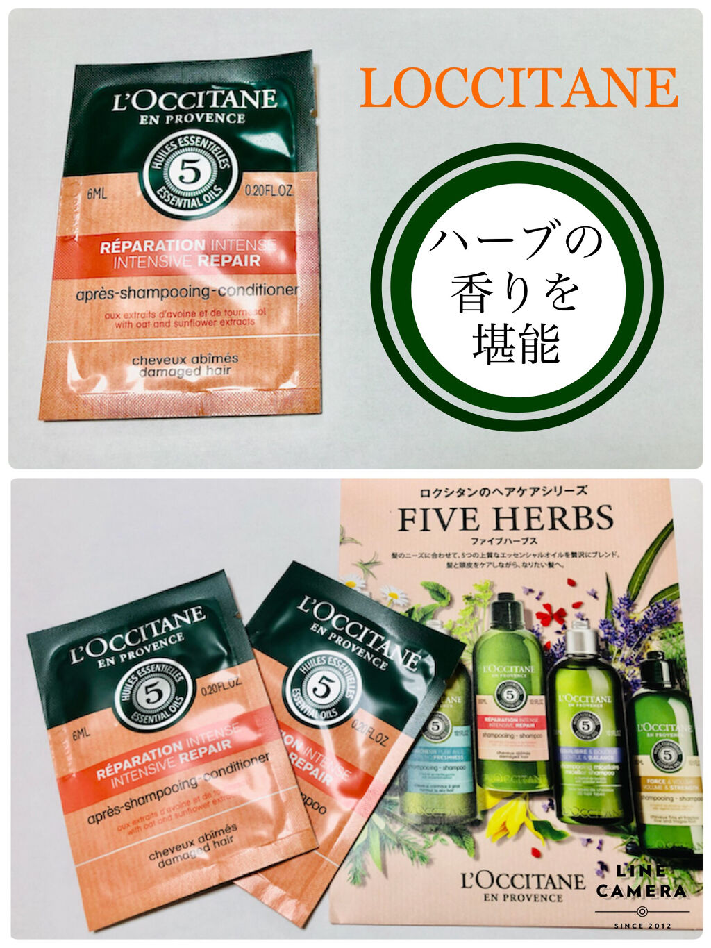 ファイブハーブスリペアリングシャンプー／コンディショナー/L'OCCITANE/シャンプー・コンディショナーを使ったクチコミ（1枚目）