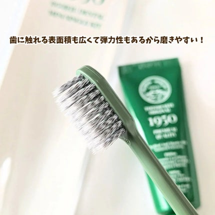 チェジュミネラルソルトブルーオーガニック歯磨き粉/1950/歯磨き粉を使ったクチコミ(6枚目)