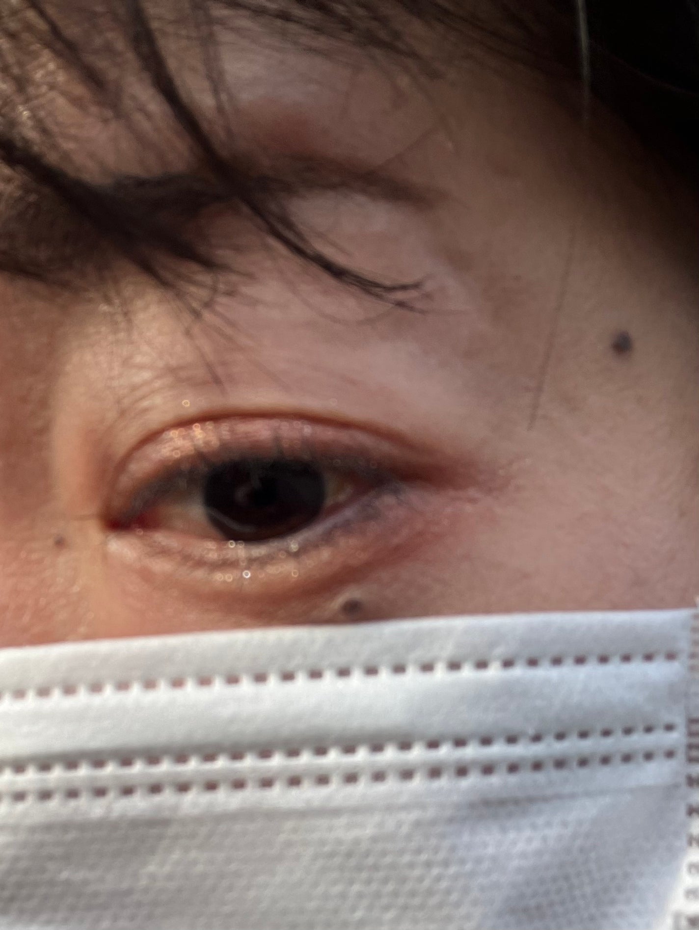 Pocket in Hope daily palette/Hope Girl/アイシャドウパレットを使ったクチコミ(4枚目)