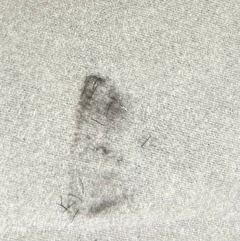 エテュセ アイエディション (マスカラベース)/ettusais/マスカラ下地を使ったクチコミ(3枚目)