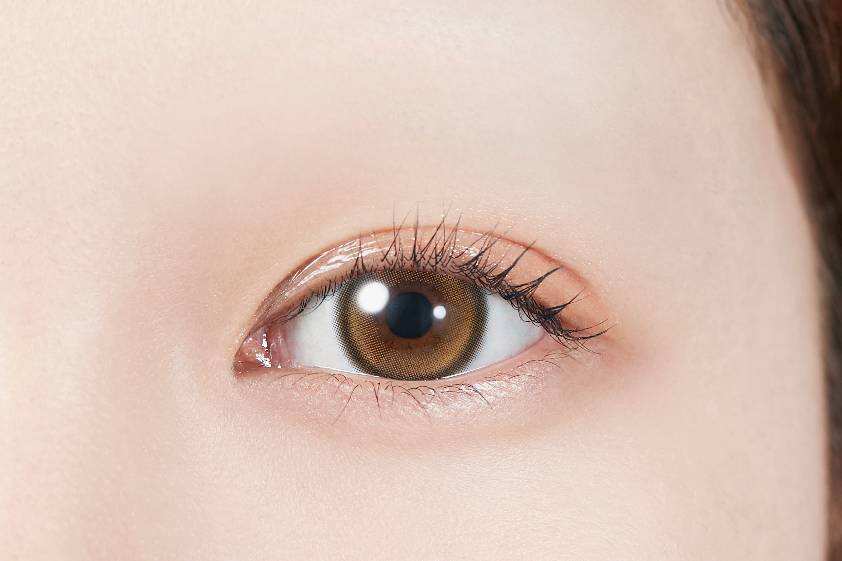 MOLAK 1day トゥインクルブラウン