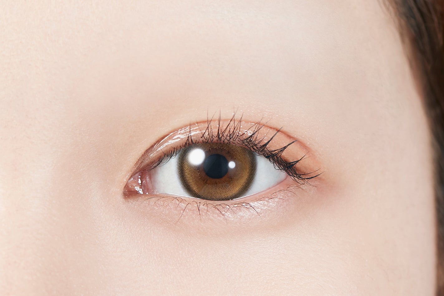 MOLAK 1day トゥインクルブラウン