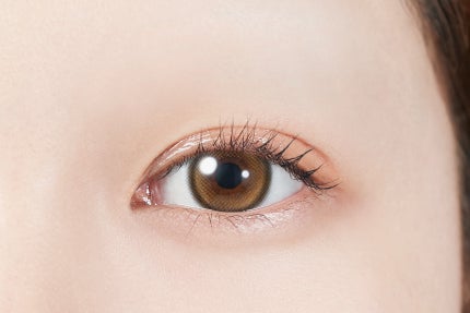 トゥインクルブラウン