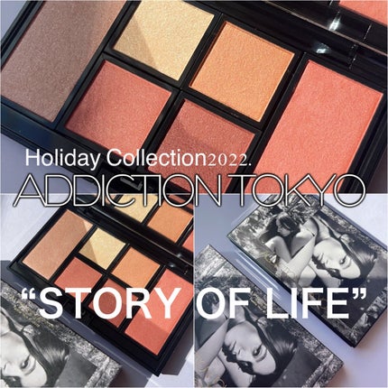 アイ & チーク コンパクトアディクション “ストーリー オブ ライフ”/ADDICTION/アイシャドウパレットを使ったクチコミ(2枚目)