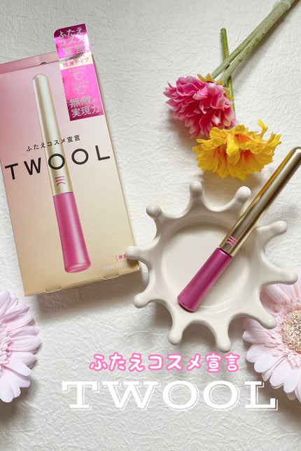 TWOOL ダブルアイリッドグルー/SHOBIDO/二重まぶた用アイテムを使ったクチコミ(1枚目)