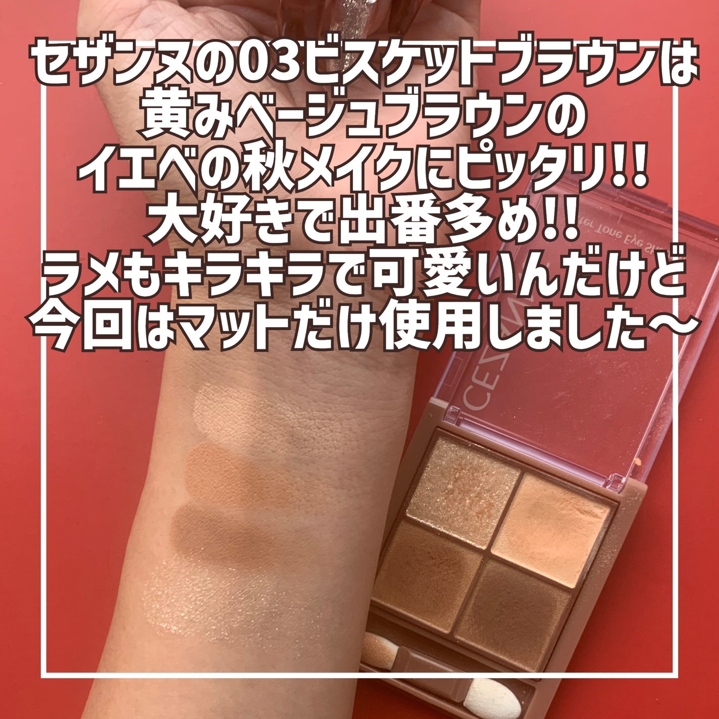 ビタートーンアイシャドウ/CEZANNE/パウダーアイシャドウを使ったクチコミ(3枚目)