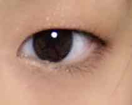 スキニーリッチシャドウ/excel/アイシャドウパレットを使ったクチコミ(2枚目)