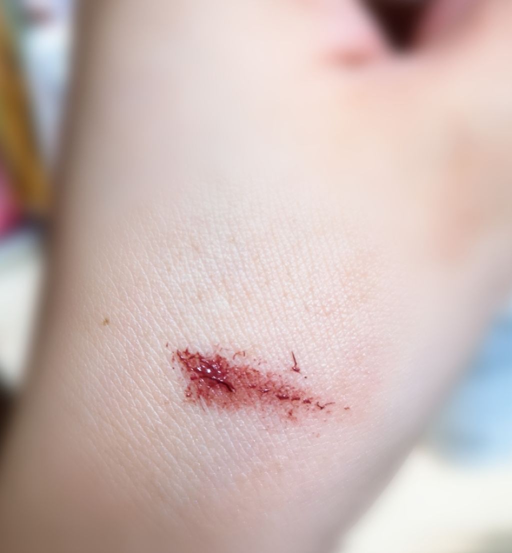 フーミー アイシャドウパレット/WHOMEE/アイシャドウパレットを使ったクチコミ（3枚目）