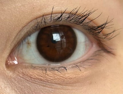 EDNA 1day サークルオブもみじ/EDNA/ワンデー(1DAY)カラコンの画像