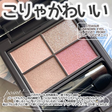 アンノウンアイズ/STEIASUR(ステイアシュール)/アイシャドウパレットを使ったクチコミ(2枚目)
