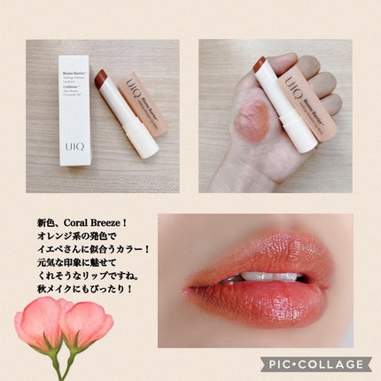 バイオームバリアメルティングモイスチャーリップバーム/UIQ/リップバームを使ったクチコミ(7枚目)