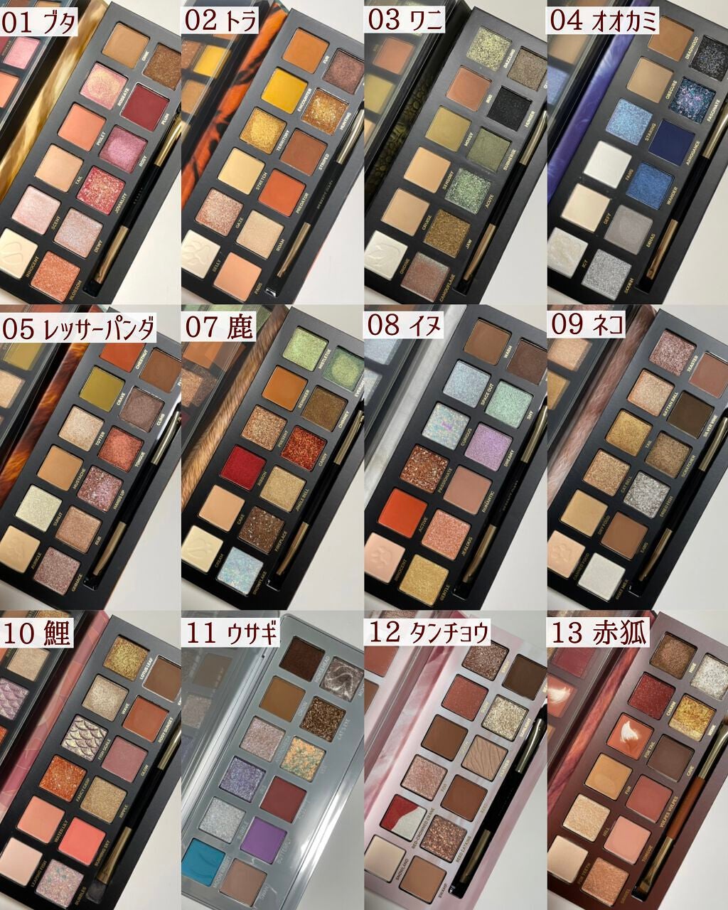エクスプローラ12色 動物アイシャドウパレット/PERFECT DIARY/アイシャドウパレットを使ったクチコミ(2枚目)