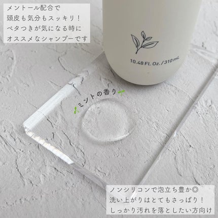 グリーンティーフレッシュ ヘアシャンプー/innisfree/シャンプー・コンディショナーを使ったクチコミ(2枚目)