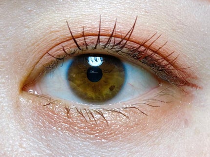 シングルカラーアイシャドウ/CEZANNE/単色アイシャドウを使ったクチコミ(2枚目)