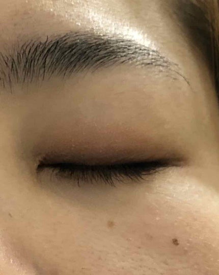 スキニーリッチシャドウ/excel/アイシャドウパレットを使ったクチコミ(2枚目)