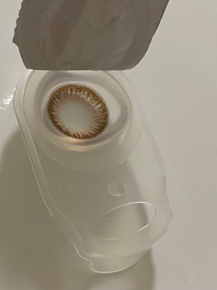 エバーカラーワンデー モイストレーベル シェリーファッジ/エバーカラー/ワンデー(1DAY)カラコンの画像