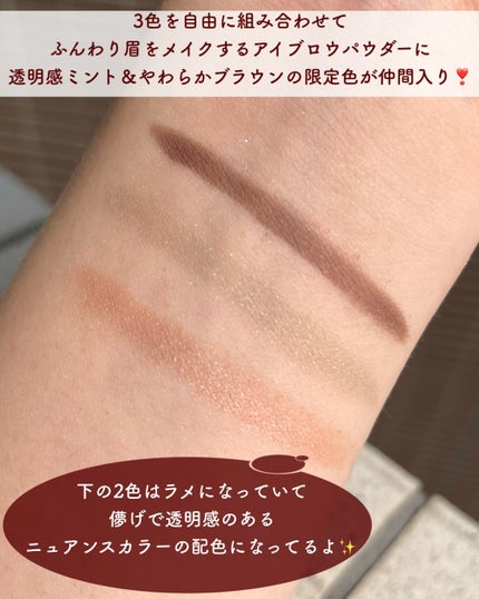 ヴィセ リシェ アイブロウパウダー/Visée/パウダーアイブロウを使ったクチコミ(3枚目)