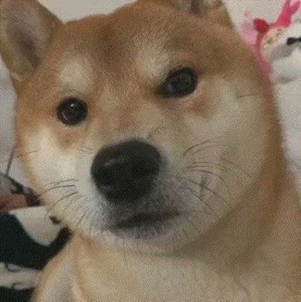 レ キャトル オンブル/CHANEL/アイシャドウパレットを使ったクチコミ(1枚目)