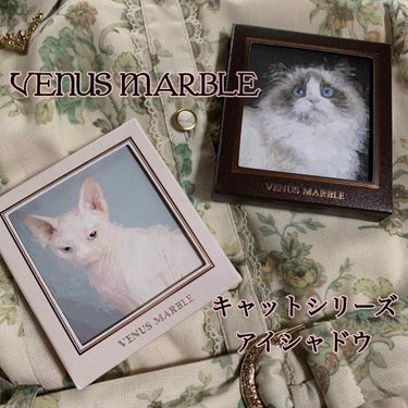 Venus Marble アイシャドウキャットシリーズ/Venus Marble/パウダーアイシャドウを使ったクチコミ（1枚目）