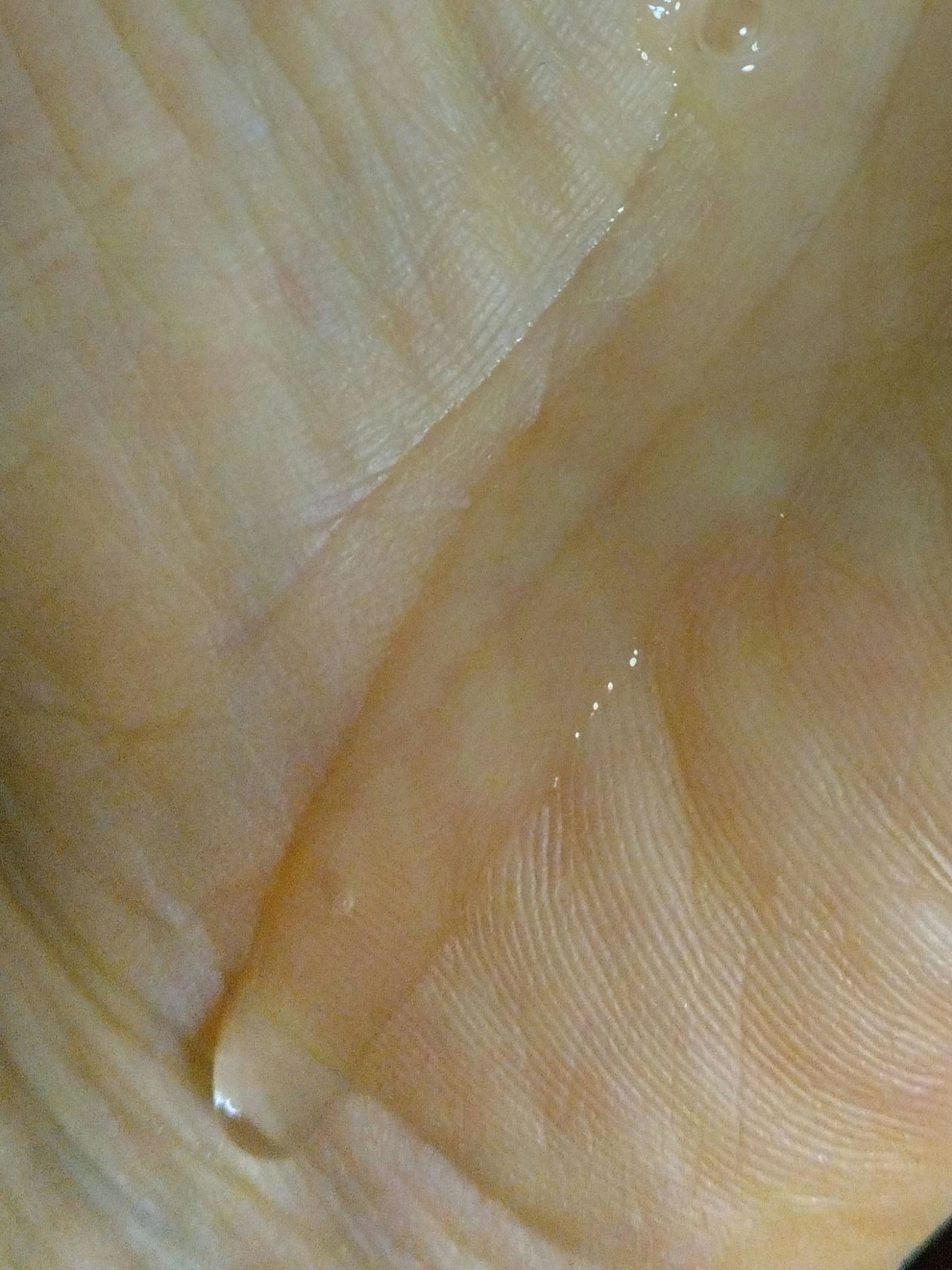 エッセンシャル プレミアム ウォータートリートメント ナチュラルモイスト/エッセンシャル/アウトバストリートメントを使ったクチコミ(2枚目)