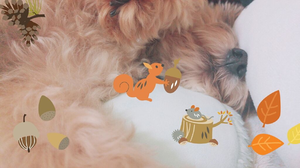 ペアアクネクリームW(医薬品)/ペア/その他を使ったクチコミ(4枚目)