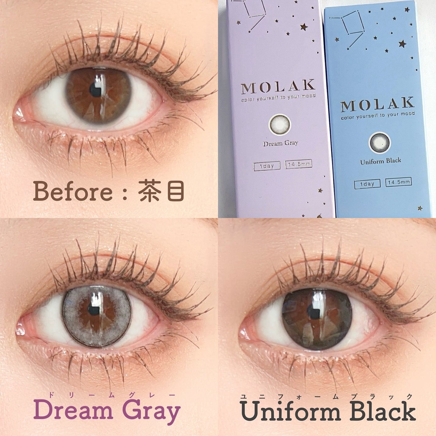 MOLAK 1day/MOLAK/ワンデー(1DAY)カラコンを使ったクチコミ(5枚目)