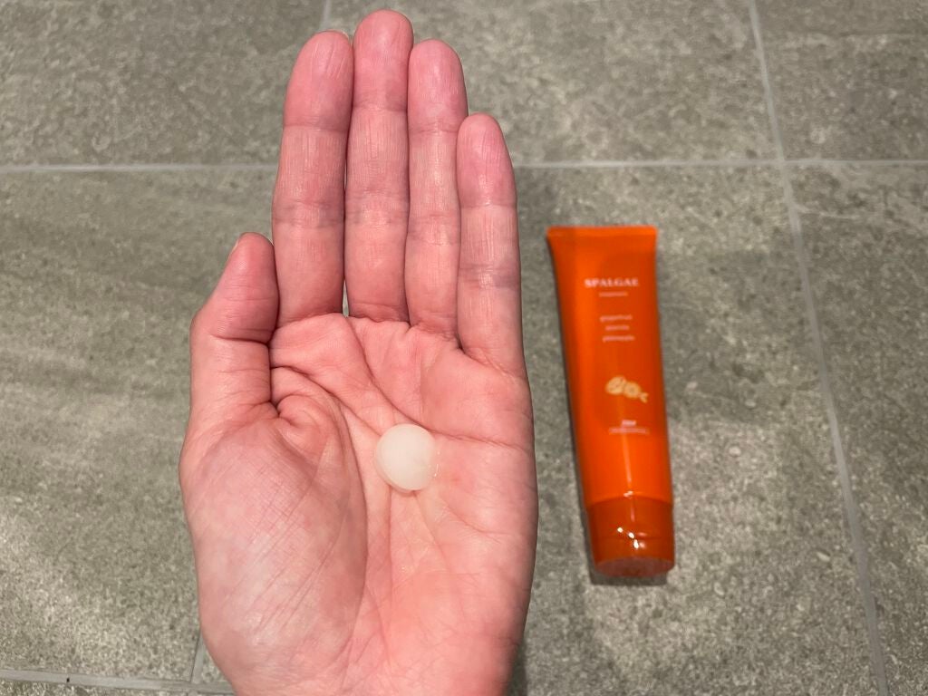 スパルゴ シャンプー/ヘアトリートメント 2021/TAYA/サロンシャンプーを使ったクチコミ(3枚目)