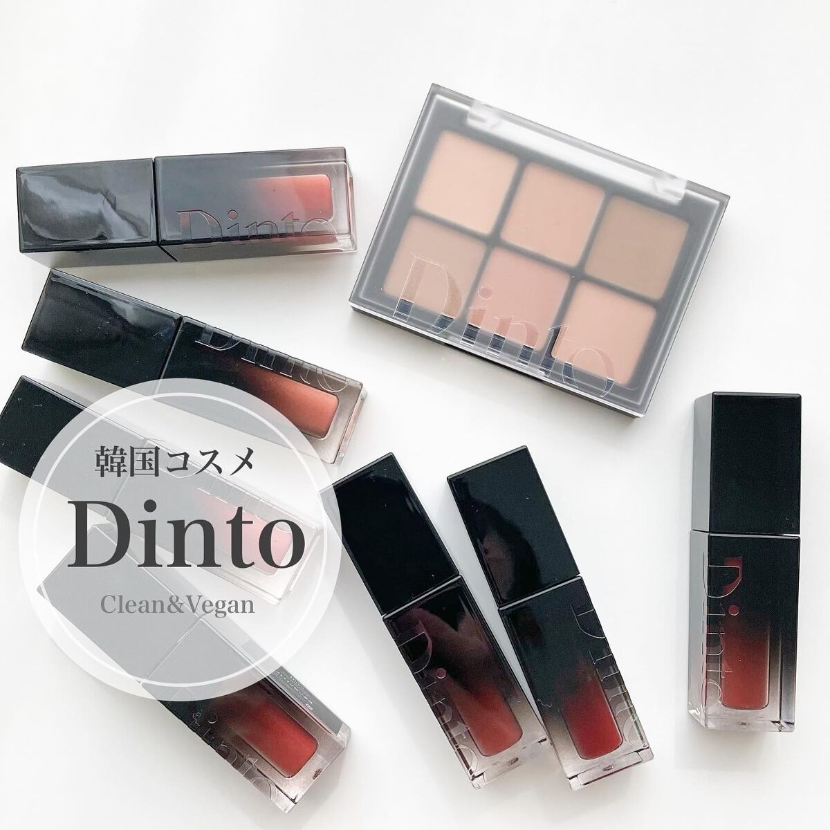 ブラーフィニシュシャドウパレット/Dinto/アイシャドウパレットを使ったクチコミ(2枚目)