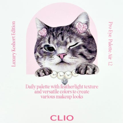 プロ アイ パレット エアー/CLIO/アイシャドウパレットを使ったクチコミ(8枚目)