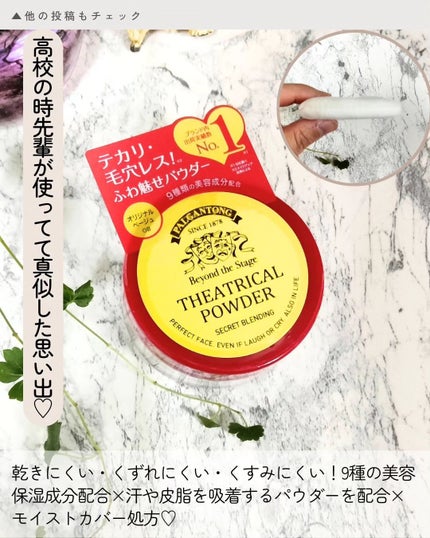 シアトリカルパウダーN/パルガントン/ルースパウダーを使ったクチコミ(2枚目)