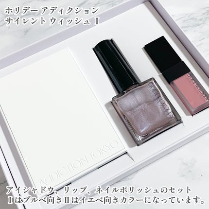 ホリデー アディクション サイレント ウィッシュⅠ/ADDICTION/メイクアップキットを使ったクチコミ(2枚目)