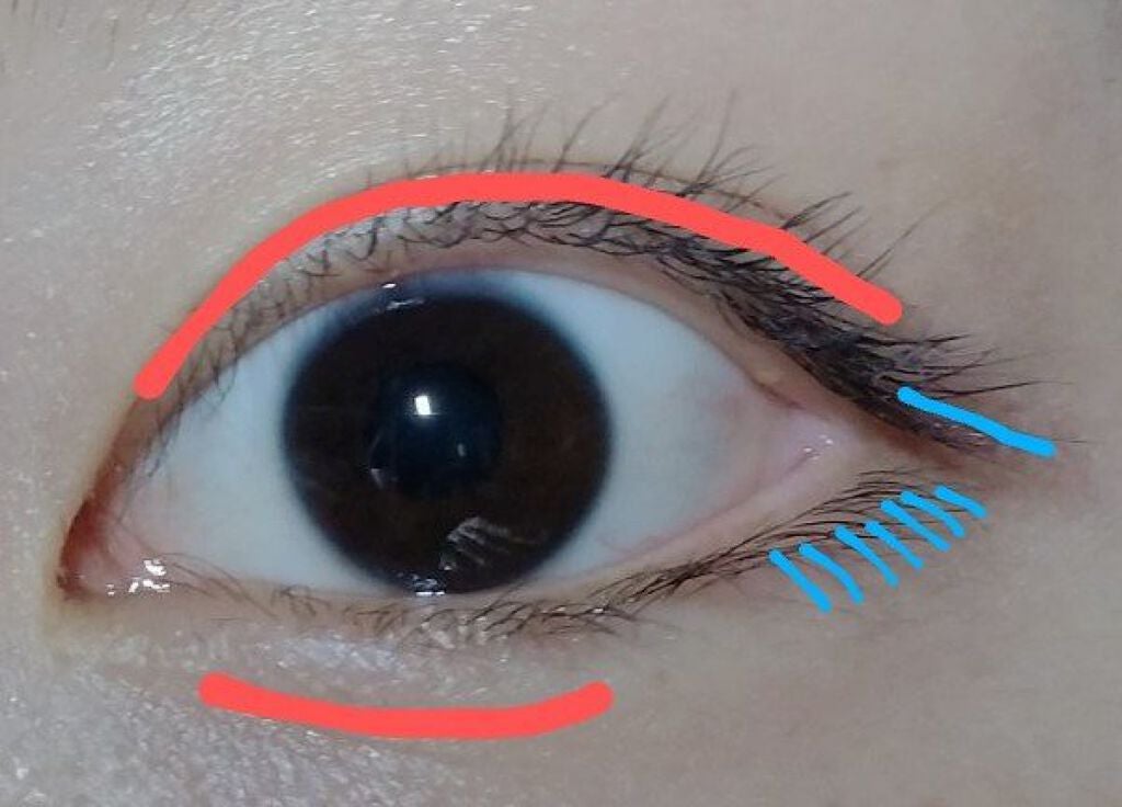 アイラッシュカーラー /SHISEIDO/ビューラーを使ったクチコミ(3枚目)