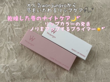 ウォンジョンヨ モイストリッププライマー /Wonjungyo/リップオイルを使ったクチコミ(1枚目)