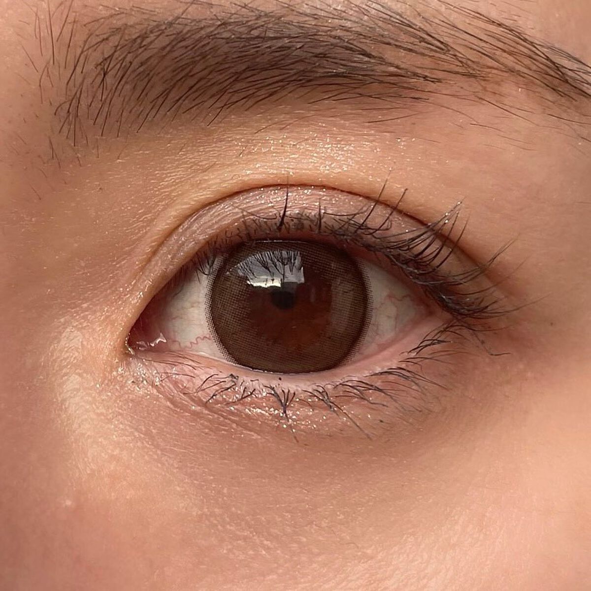 エバーカラーワンデー ナチュラル/エバーカラー/ワンデー(1DAY)カラコンを使ったクチコミ(4枚目)