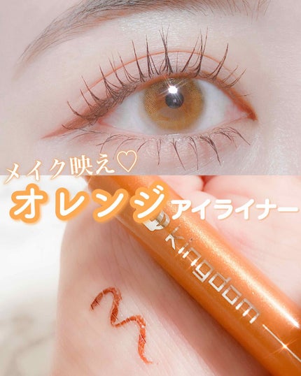 リキッドアイライナーWP		/キングダム/リキッドアイライナーを使ったクチコミ(1枚目)