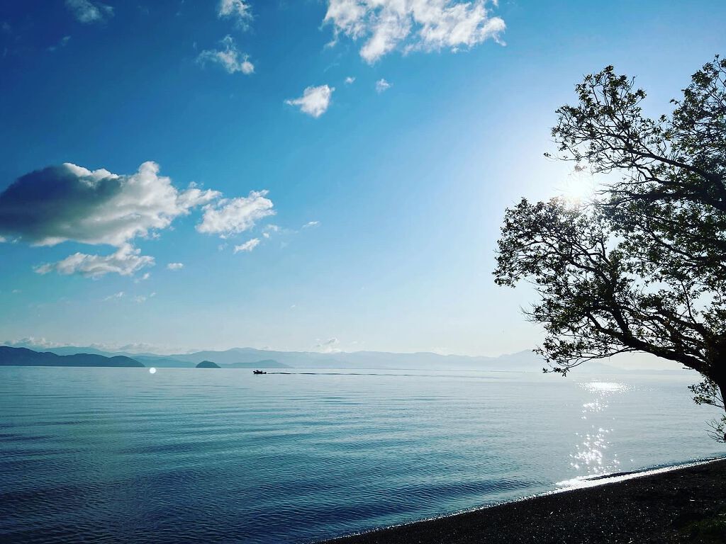 パーフェクトマルチアイズ/キャンメイク/アイシャドウパレットを使ったクチコミ(7枚目)