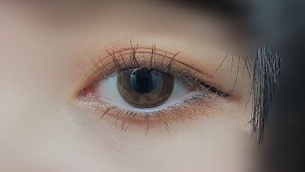 シャドーカスタマイズ/MAJOLICA MAJORCA/単色アイシャドウを使ったクチコミ(1枚目)