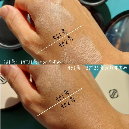 ブラーフィニッシュ雲楚クッション/Dinto/クッションファンデーションを使ったクチコミ(6枚目)