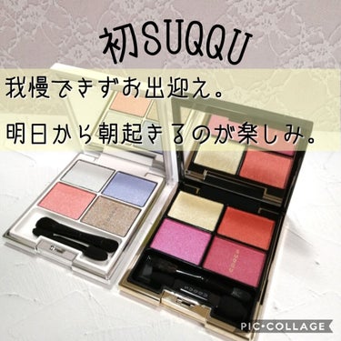 デザイニング カラー アイズ/SUQQU/アイシャドウパレットを使ったクチコミ（1枚目）