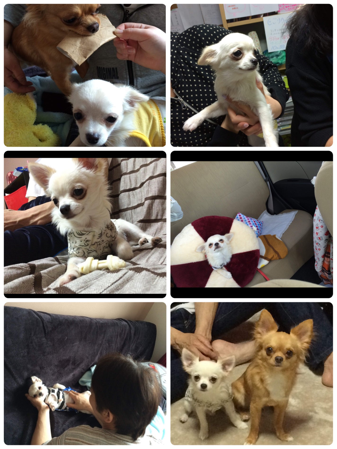 カラフルネイルズ/キャンメイク/マニキュアを使ったクチコミ(6枚目)