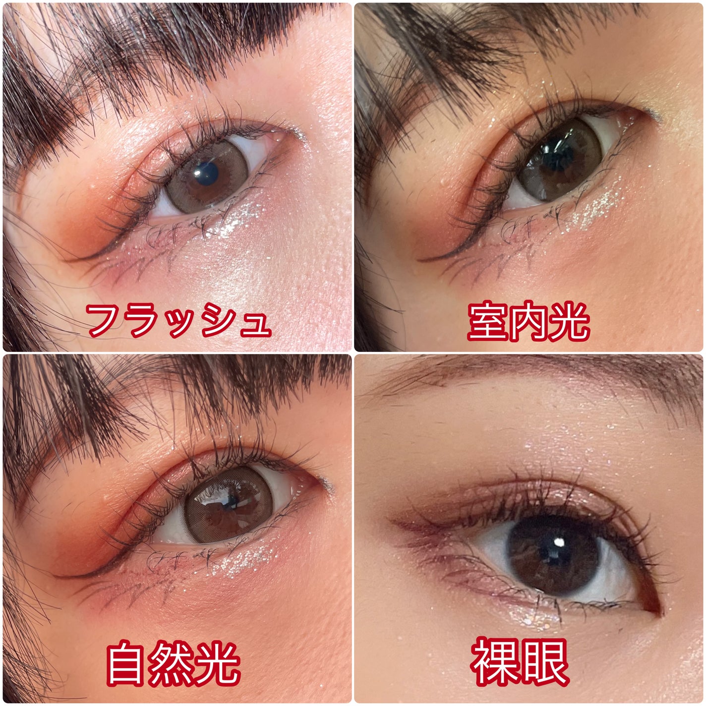 エバーカラーワンデー ナチュラル/エバーカラー/ワンデー(1DAY)カラコンを使ったクチコミ(3枚目)