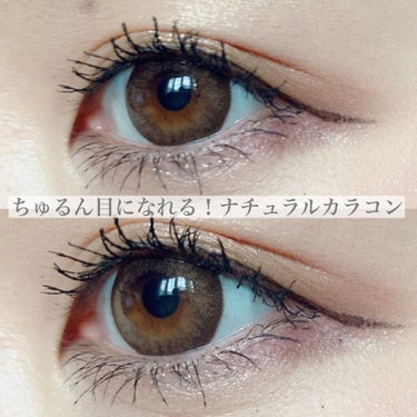 feliamo 1day/フェリアモ/カラーコンタクトレンズを使ったクチコミ(1枚目)
