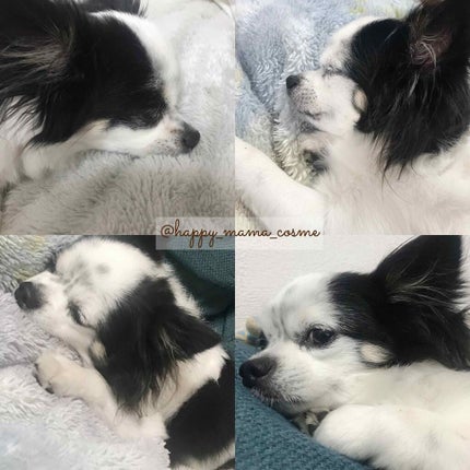 レイヴィー リペアトリートメントヘアマスクゴートミルク/Leivy/ヘアマスク・ヘアパックを使ったクチコミ(4枚目)