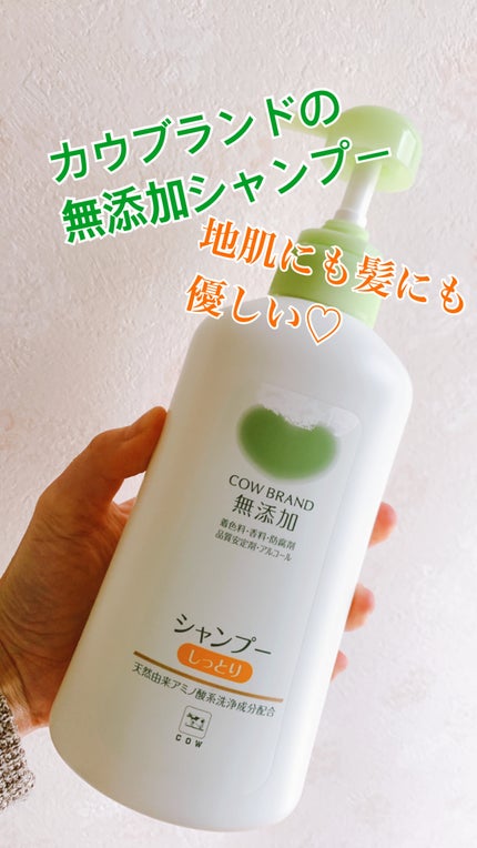 シャンプー・トリートメント しっとり シャンプー本体 500ml/カウブランド無添加/市販シャンプーの画像