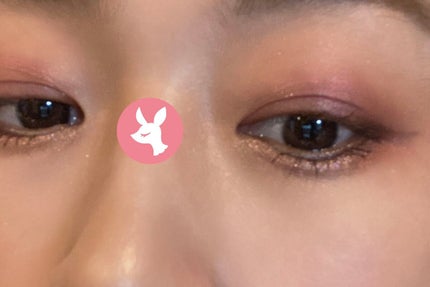 ノーズ&アイブロウパウダー/CEZANNE/パウダーアイブロウを使ったクチコミ(5枚目)