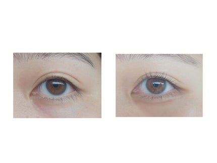 クイックラッシュカーラー/キャンメイク/マスカラ下地を使ったクチコミ(4枚目)